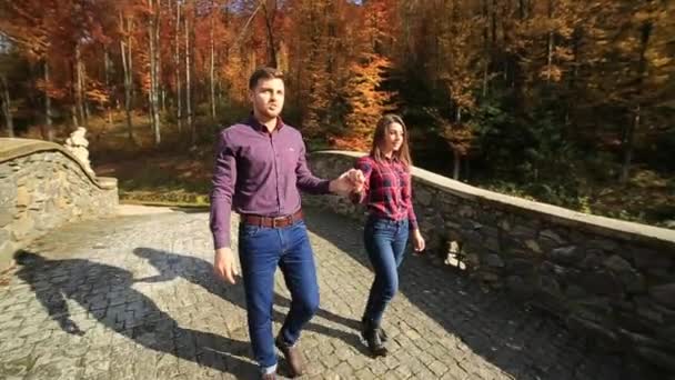 A loving couple walks in the autumn in the park. A love story on a sunny autumn day. lake and bringe — Stock Video