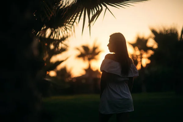 Sziluettjét a lány és a palm-naplemente — Stock Fotó