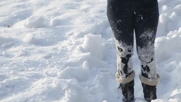 Sevgi Dolu Bir Kaç Masal Kış Hava Içinde Kartopu Oynuyor — Stok video