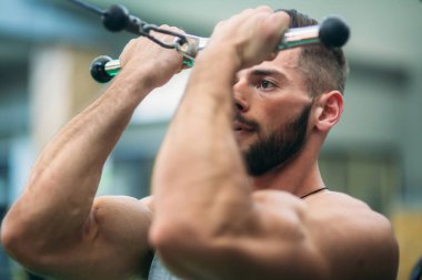 Genç bir atlet spor salonunda eğitiyor. Trians pazı muscules