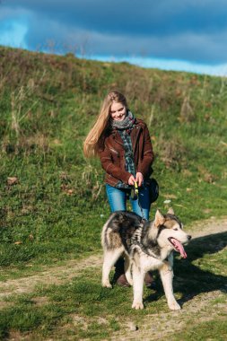 Bir kız ile bir köpek set boyunca yürüyor. Güzel husky köpek
