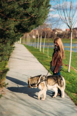 Bir kız ile bir köpek set boyunca yürüyor. Güzel husky köpek