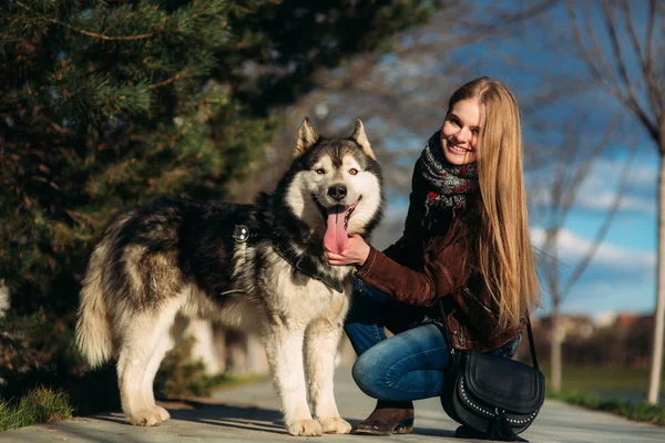 Gülümseyen bir kız ile bir köpek set boyunca yürüyor. Güzel husky köpek