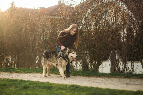 Blonde lady model poses to photographer with husky dog — Stock Photo, Image