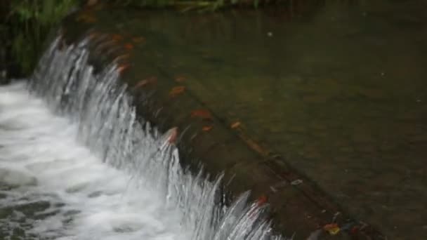 Wunderschöne Landschaft mit großem See, umgeben von Wald und Bergen — Stockvideo