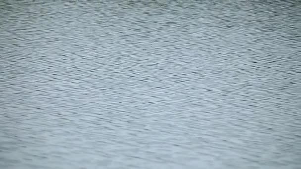 Beau paysage de grand lac entouré de forêt et de montagnes 