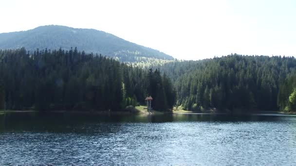 Πανέμορφο τοπίο της μεγάλη λίμνη περιβάλλεται από δάση και βουνά — Αρχείο Βίντεο