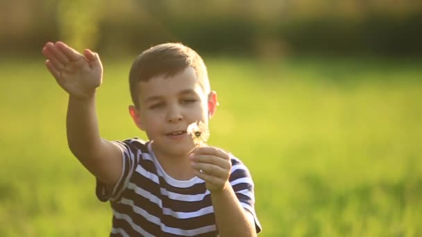 Ragazzino con una maglietta a righe che soffia un dente di leone. Primavera, tempo soleggiato — Video Stock