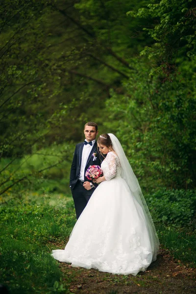 Os recém-casados estão andando no parque no dia do casamento. A noiva e o noivo Desfrutando no dia do casamento — Fotografia de Stock