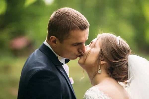 Bräutigam und Braut küssen sich am Hochzeitstag — Stockfoto