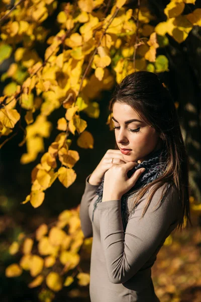Jonge en mooie brunette meisje in een jurk en sjaal staat in de buurt van een mooie grote gele boom — Stockfoto