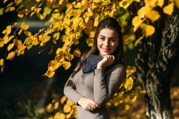 Молода і красива брюнетка в сукні і шарфі стоїть біля красивого великого жовтого дерева — стокове фото