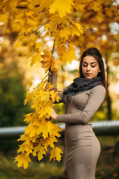 Mooie herfst vrouw met Herfstbladeren op val natuur achtergrond. Tak met gele bladeren — Stockfoto