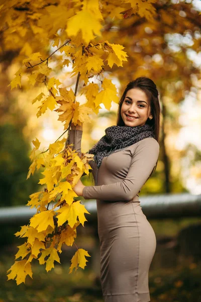 Mooie herfst vrouw met Herfstbladeren op val natuur achtergrond. Tak met gele bladeren — Stockfoto