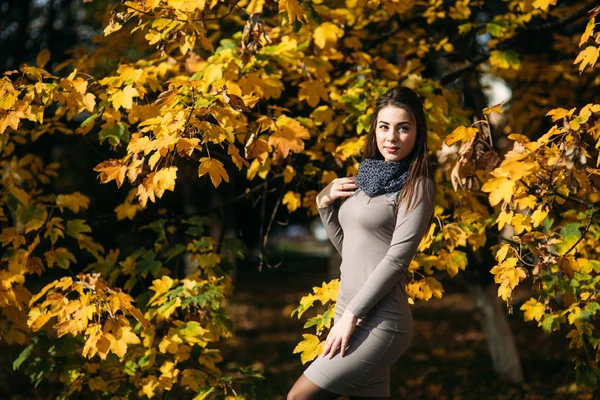 Hermosa chica sonriente feliz con vestido largo y bufanda de otoño de pie en el bosque rodeado de árboles amarillos — Foto de Stock