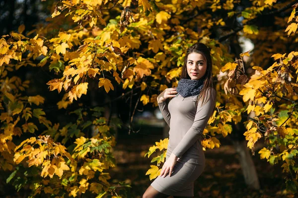 Mooi gelukkig lachend meisje dragen lange jurk en herfst sjaal permanent in bos omgeven door gele bomen — Stockfoto