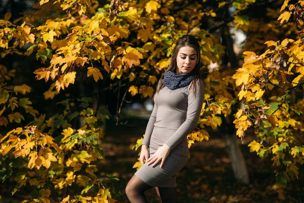 Mooi gelukkig lachend meisje dragen lange jurk en herfst sjaal permanent in bos omgeven door gele bomen — Stockfoto