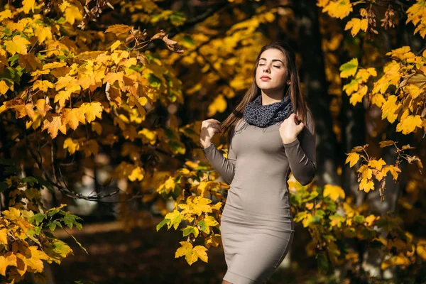 Красива щаслива усміхнена дівчина в довгій сукні та осінньому шарфі, що стоїть у лісі, оточена жовтими деревами — стокове фото