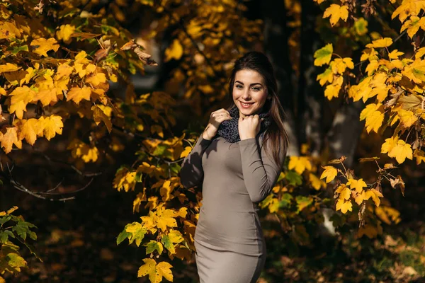 Mooi gelukkig lachend meisje dragen lange jurk en herfst sjaal permanent in bos omgeven door gele bomen — Stockfoto