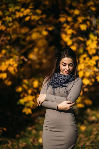 Красива щаслива усміхнена дівчина в довгій сукні та осінньому шарфі, що стоїть у лісі, оточена жовтими деревами — стокове фото