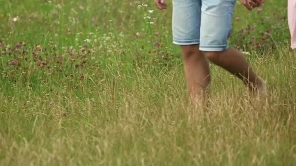 Pareja cogida de la mano y caminando por el campo. Vista trasera. pies de cerca — Vídeos de Stock