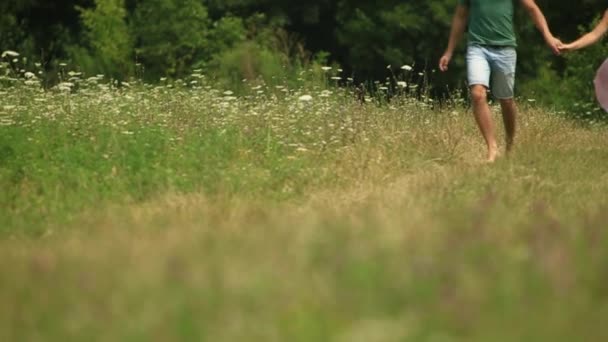 Männer und Frauen laufen gemeinsam im Feld. romantische Atmosphäre. Zeitlupe — Stockvideo