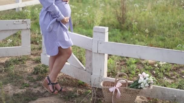 Beautiful pregnant woman in blue dress walking hear the farm. Knitted bag with bouquet of flowers. Background of tree and mountains. Slow motion — Stock Video