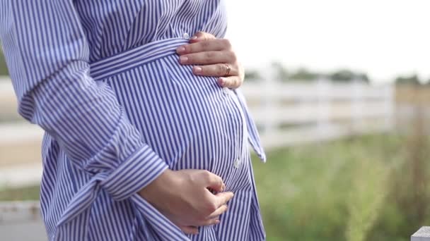 Zbliżenie ciąży brzuch w przyrodzie. Kobieta przytrzymaj bukiet i pieścić jej brzuch — Wideo stockowe