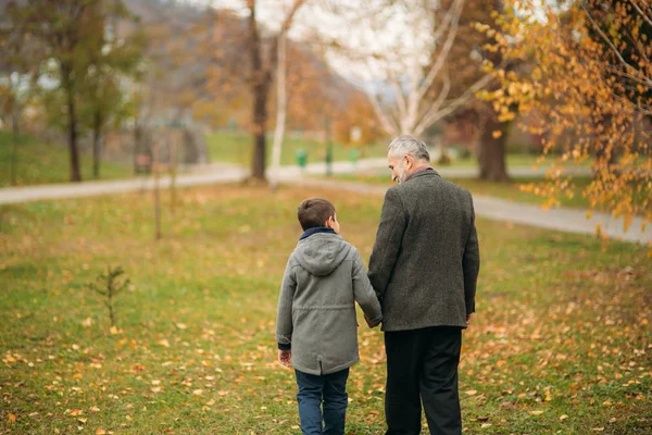 在公园的爷爷和孙子的背部视图。童年。秋天 — 图库照片