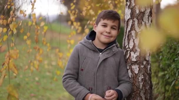 Child stay near the birch in autumn. Happy boy walking in the park. Yellow tree — Stock Video