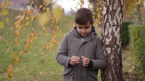 Дитина залишається біля берези восени. Щасливий хлопчик, що гуляє в парку. Жовте дерево — стокове відео