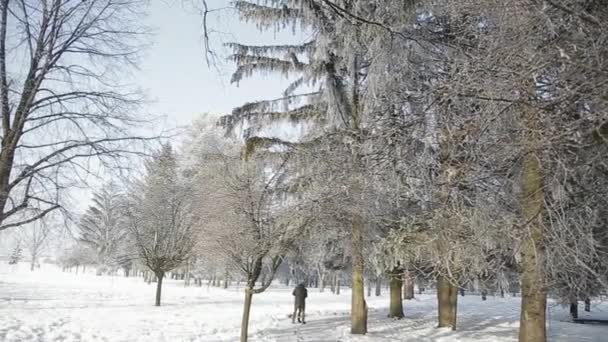 Koppel op de achtergrond van een grote rorest. Winter stemming — Stockvideo