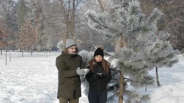 Любляча пара в казковій зимовій погоді грає в сніжки. повільний рух — стокове відео