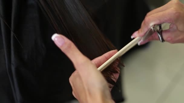 Kadeřník dělá účes pro ženu. Stříhání vlasů detail. Nůžky a hřeben na stylista. Krásné vlasy mladé ženy — Stock video