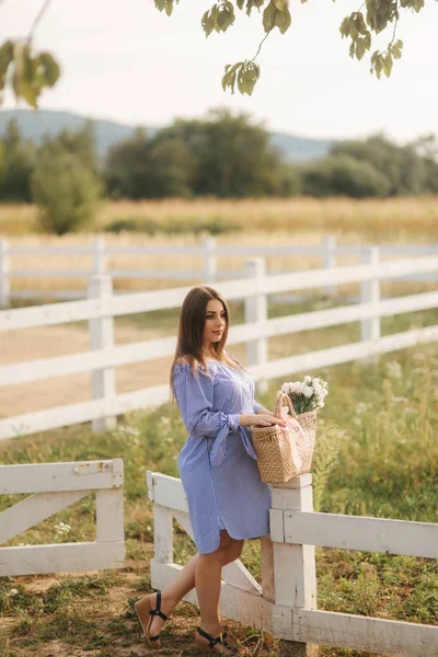 Mavi elbise yürüyüş güzel hamile kadın çiftlik duydum. Buket çiçek ile örme çanta. Arka plan ağaç ve dağlar — Stok fotoğraf