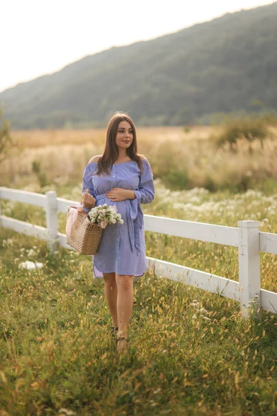 Çekici hamile kadın çiftlikte zaman harcamak. Kadın stand doğa ve yürüyüş alanı farm yakınındaki sanıyordum