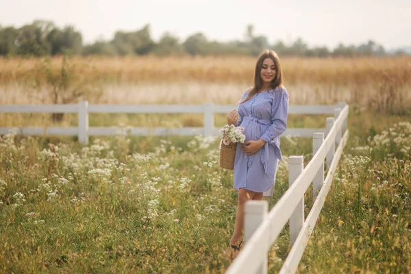 Çekici hamile kadın çiftlikte zaman harcamak. Kadın stand doğa ve yürüyüş alanı farm yakınındaki sanıyordum