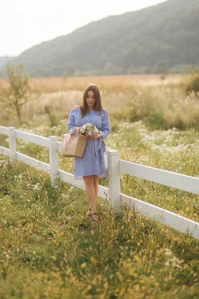 Une jolie femme enceinte passe du temps à la ferme. Femme debout dans la nature et le champ de pensée de marche près de la ferme — Photo