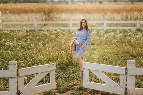 Mulher grávida atraente posa para câmera e sorriso. Mulher ficar na natureza e caminhando campo de pensamento perto da fazenda — Fotografia de Stock