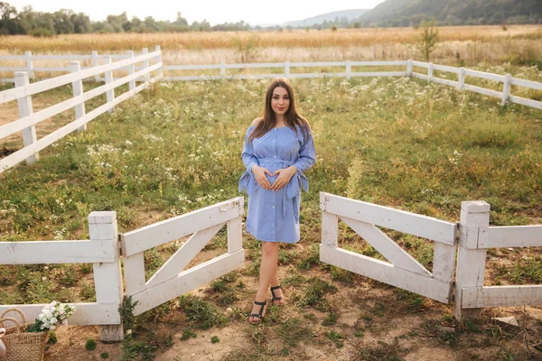 Mutlu gelecekte anne çiftlik alanında düzgün dur ve karnı üzerinde el koymak. Hamile kadın