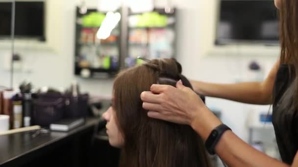 Coiffeur fait coiffure fille brune — Video