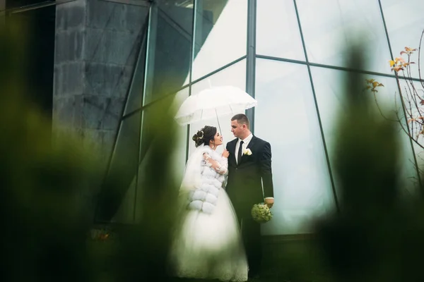 Groom and bride near the mirror building in in bad weather. They use umbrella