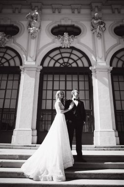 Damat ve gelin Wiena büyük sarayda merdivenlerde beklemede. Şık çift