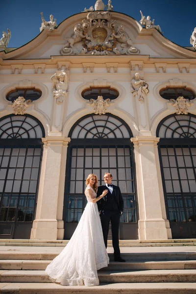 O noivo e a noiva ficam nas escadas junto ao grande palácio de Wiena. Casal elegante — Fotografia de Stock