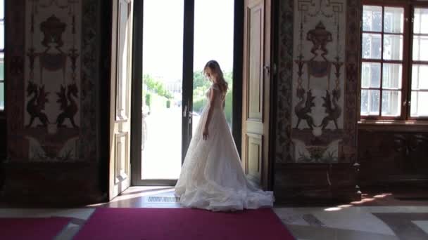 웨딩 드레스에 아름 다운 커플이 박물관에 서 있다. 그들은 서로 보고 — 비디오
