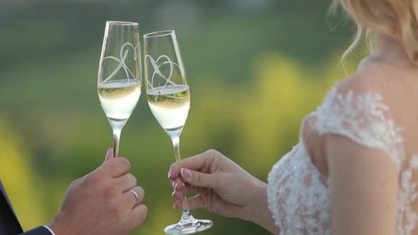 Bräutigam und Braut stehen vor dem Hintergrund der Stadt und trinken Champagner aus dem Weinglas. Gläser klirren. hd video — Stockvideo