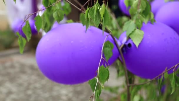 Hochzeitsdekoration draußen. Frühlingswetter. Blumen und Luftballons — Stockvideo