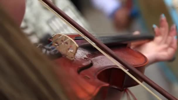 El hombre hace la música al violín en la boda — Vídeo de stock