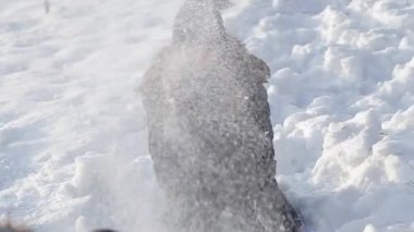 Sevgi dolu bir kaç masal kış hava içinde kartopu oynuyor. ağır çekim