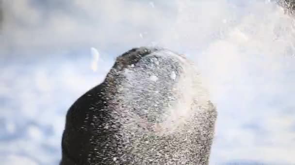 Een verliefde paar in sprookjesachtige winterweer speelt sneeuwballen. Slow motion — Stockvideo
